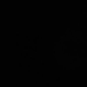 Meet your Posher, Cory